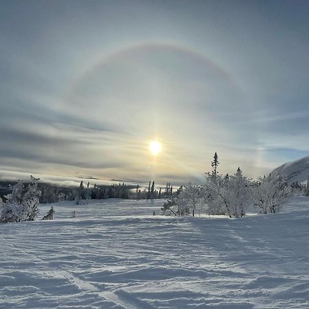 Villa Edvinsvaeg 8 Åre Dış mekan fotoğraf