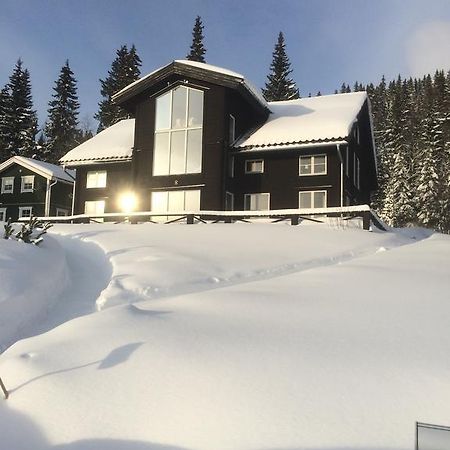 Villa Edvinsvaeg 8 Åre Dış mekan fotoğraf