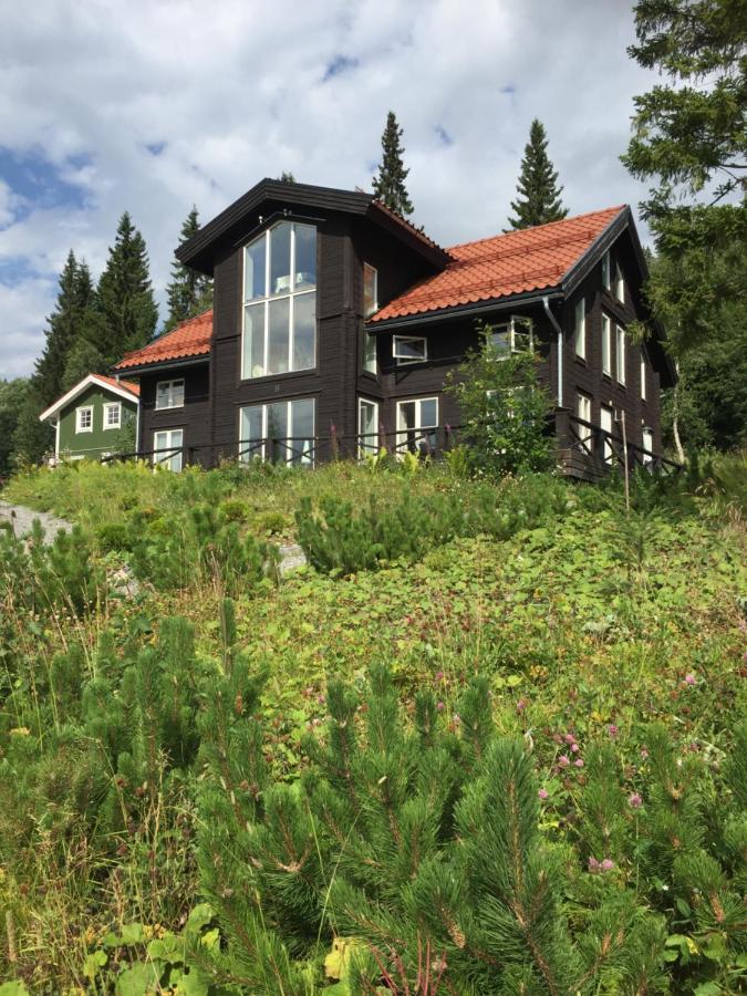 Villa Edvinsvaeg 8 Åre Dış mekan fotoğraf