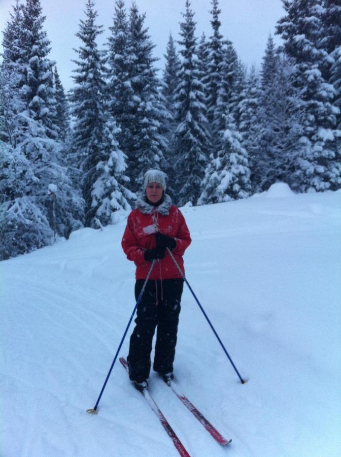 Villa Edvinsvaeg 8 Åre Dış mekan fotoğraf