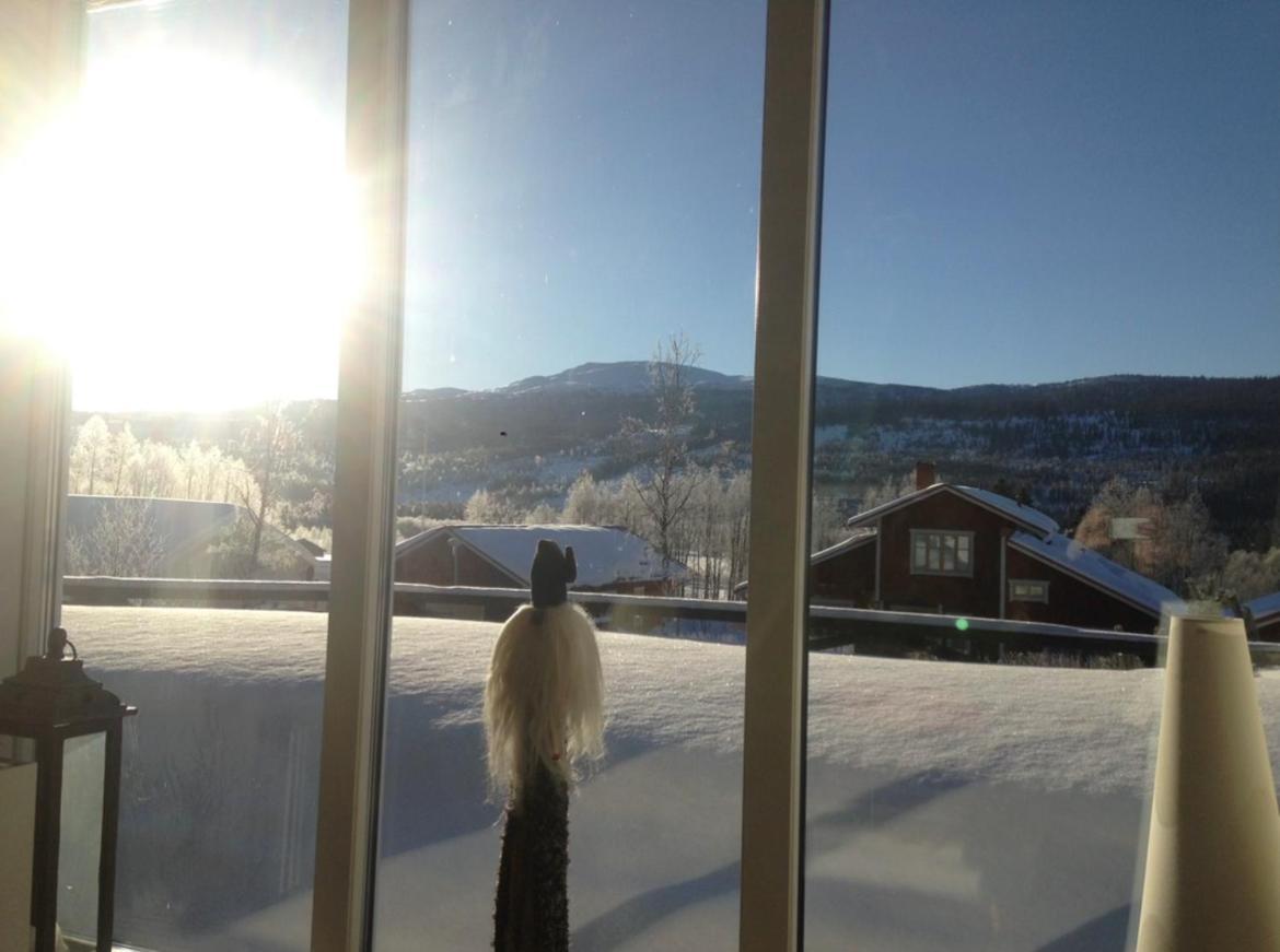 Villa Edvinsvaeg 8 Åre Dış mekan fotoğraf