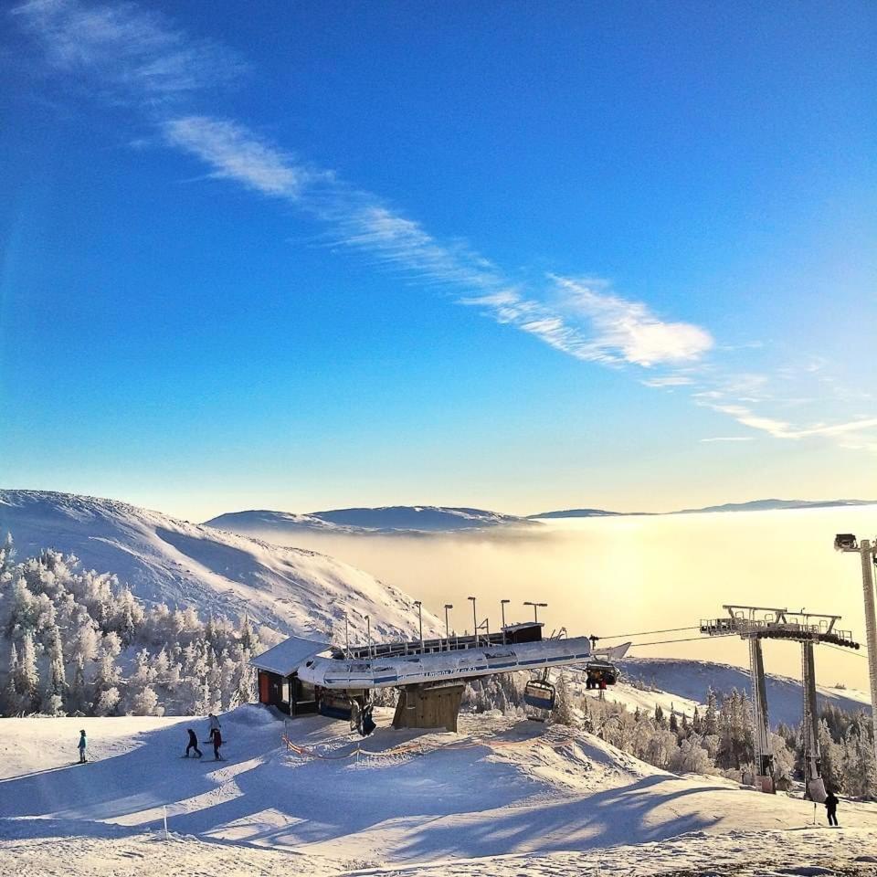 Villa Edvinsvaeg 8 Åre Dış mekan fotoğraf